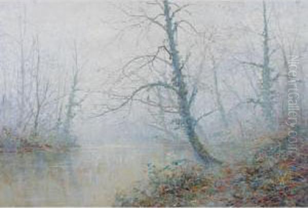 Trees Beside A River In Hazy Sunshine - view 1