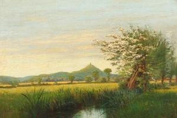May Time On Ture Moor, Somerset - view 1