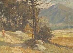 Indonesian landscape at dusk