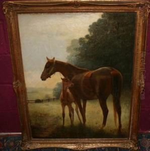 Mare And Foal In Landscape