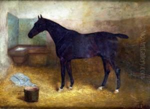 Blackthorn, A Hunter In A Stable by Arthur Louis Townshend