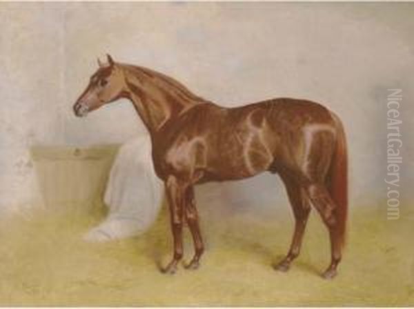 Charibert, A Chestnut Racehorse In A Stable - view 1