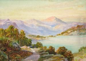 Vista Of A Highland Loch