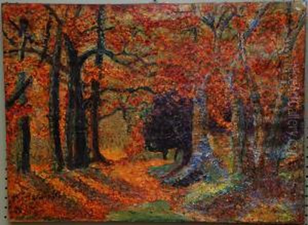 Autumn Forest Scene - view 1