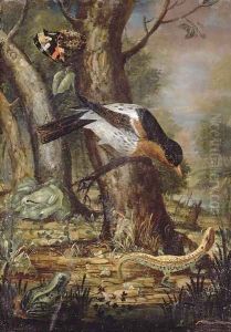 A forest-floor still life with a thrush on a branch, a lizard, a butterfly and two frogs by Johann-Adalbert Angermeyer