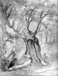 Etude D'arbre by Domenico, Dominique Trachel