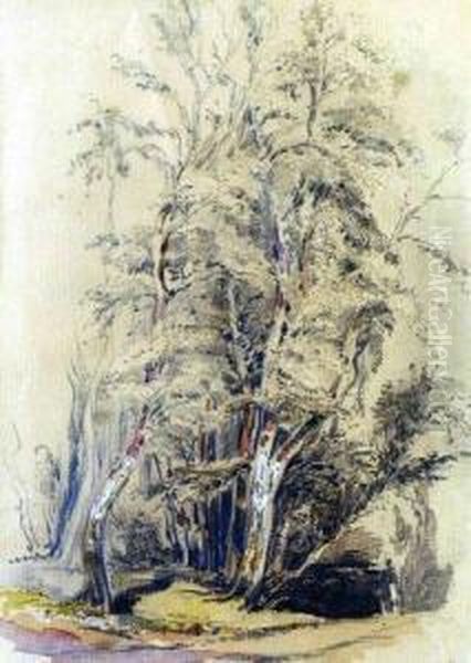 Le Bosquet Tiranty - view 1