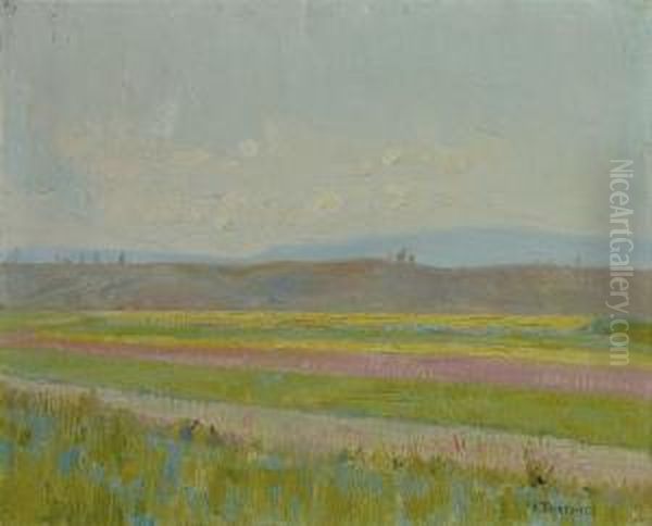 Fruhlingslandschaft - view 1
