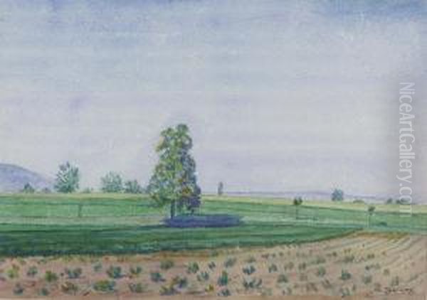 "genfer Fruhlingslandschaft". - view 1