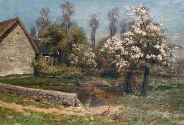 Ducks By A Pond - view 1