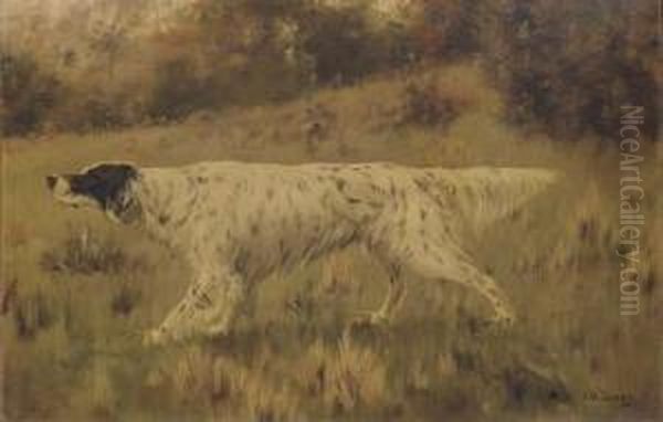An English Setter On Point - view 1