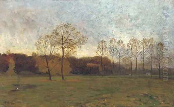 Dusk in the meadow - view 1