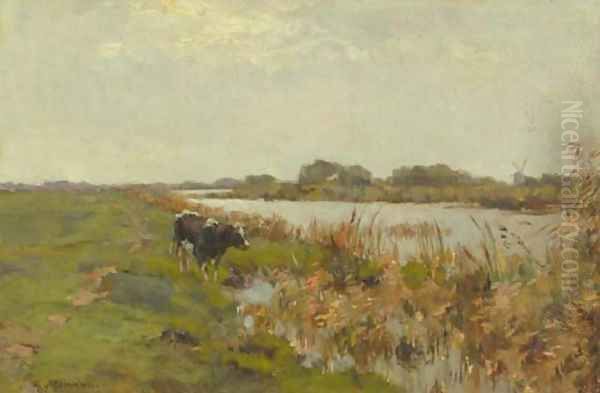 A cow in a polder landscape - view 1
