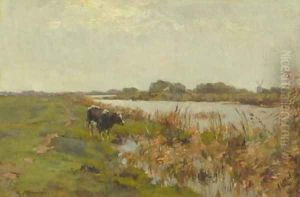 A cow in a polder landscape by Gerard Altman