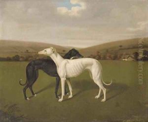 A Pair Of Greyhounds