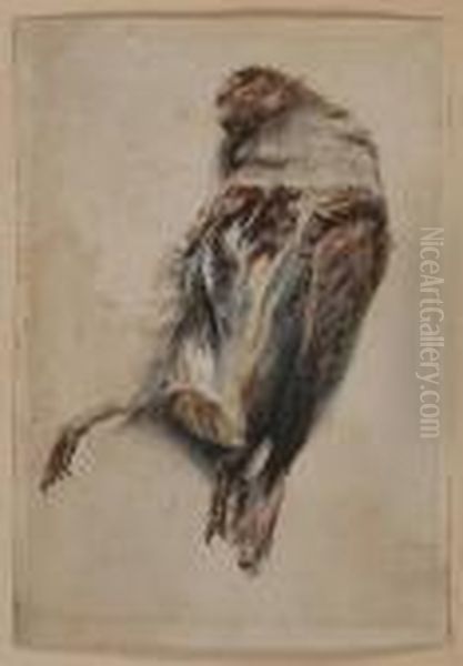 Partridge - view 1