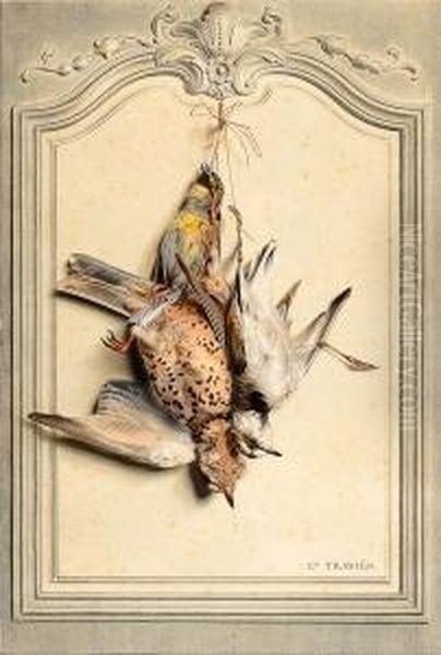 La Grive Draine, Le Gruant Zizi Et Le Pluvier A Collier - view 1