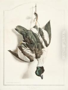 La Chasse: Le Canard Garrot by Edouard Travies