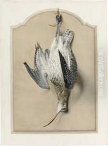 Trompe L'oeil With A Curlew