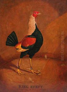 King Henry, a fighting cock by Henry Thomas Alken