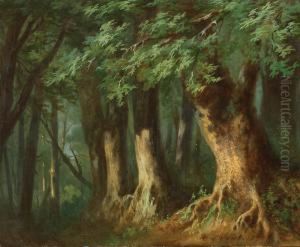 Forrest Clearing by Henri Trenk