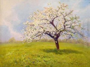 Bluhenderapfelbaum Auf Besonnter Wiese by Jan Trentan-Havlicek