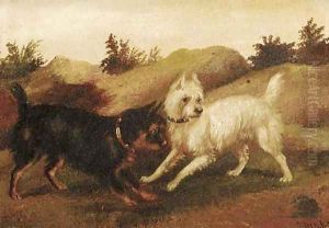 Terriers ratting by George Armfield