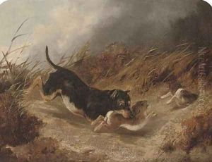 Raiding the warren