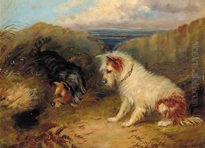Terriers by a rabbit hole Terriers by a rabbit hole