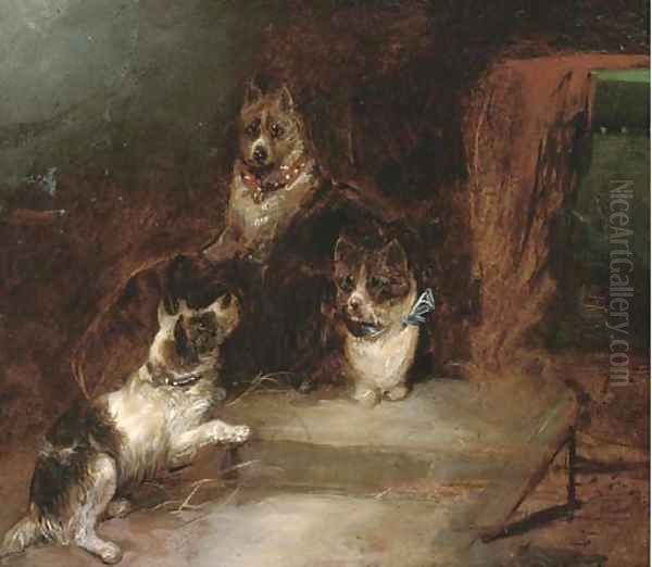 Terriers in a barn - view 1