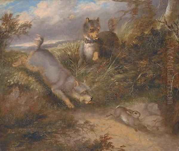 Terriers chasing a rabbit - view 1