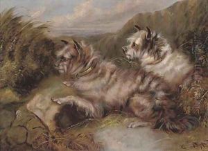 Terriers on the scent