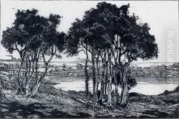 Sunny Waters Near Fremantle - view 1