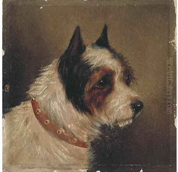 The head of a terrier - view 1