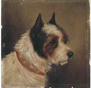 The head of a terrier by George Armfield