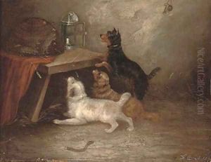 The rat's visitors