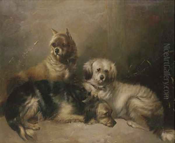 Three mischievous terriers - view 1