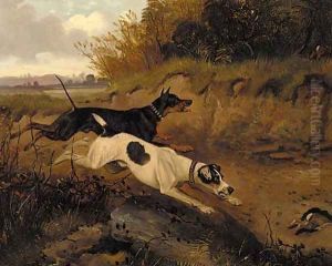 A doberman pinscher and a great dane chasing a rabbit