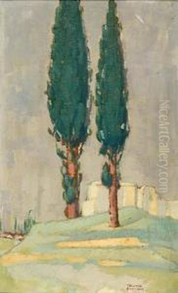 Cypresses - view 1