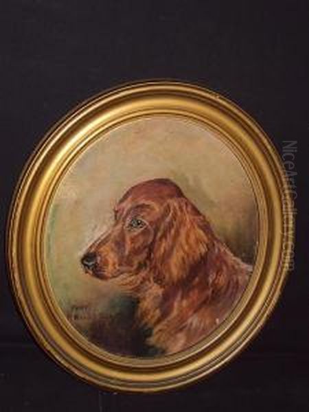 'rory', Head Of A Red Setter - view 1