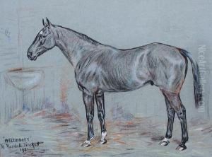 'wellesley' In Its Stable by W. Wasdell Trickett