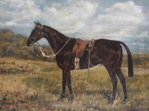 'liffey' - A Cavalry Horse Carrying A Sword