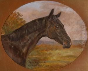 Portrait Of Ahorse by W. Wasdell Trickett
