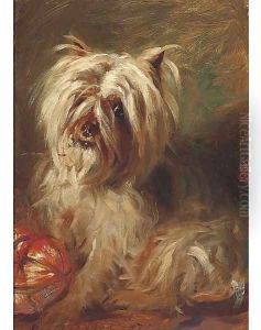 A cairn terrier