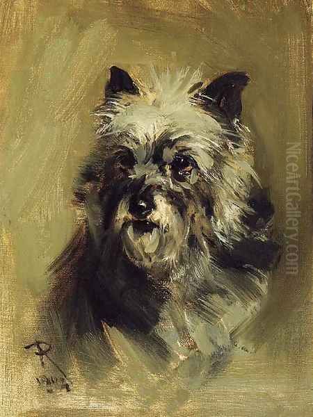 Head of a Cairn Terrier - view 1