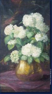 Hortensias