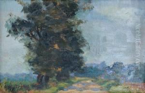 Country Road by Mary Elizabeth Tripe