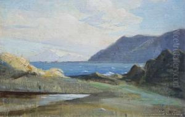 The Kaikouras - view 1