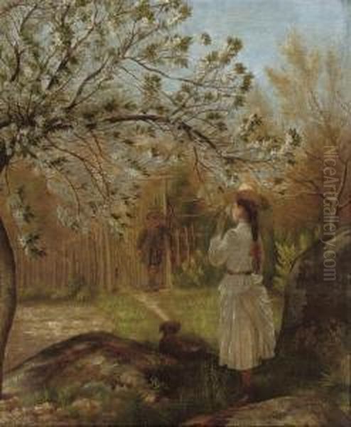 The Secret Garden - view 1