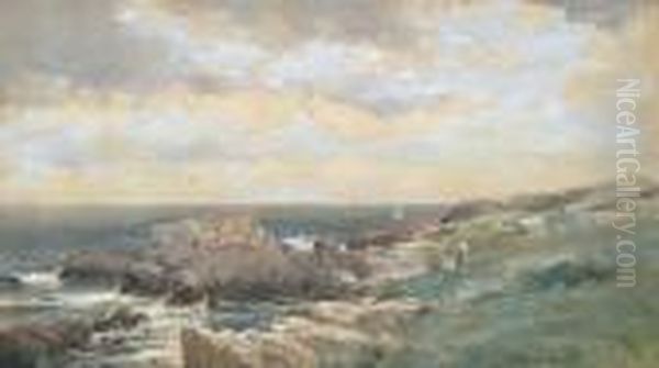Island Sheep - view 1